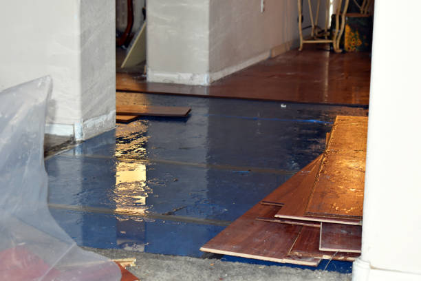 Professional Basement Flood Cleanup technician working in South Boston, MA
